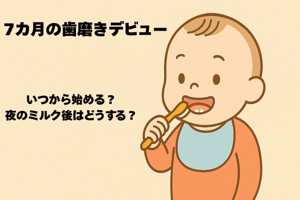 歯ブラシを持って歯を磨いている7カ月頃の赤ちゃんのイラスト